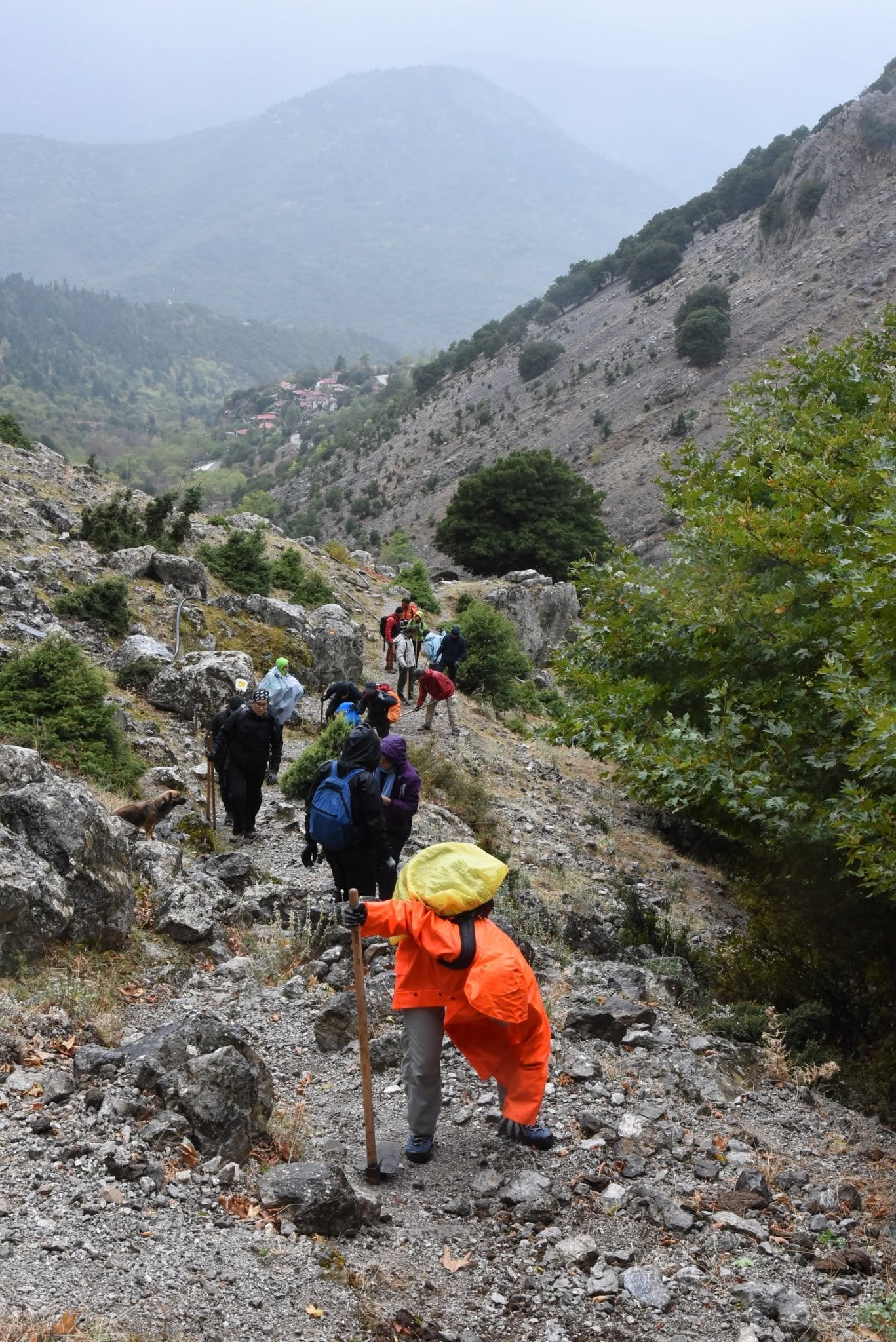 Γκιώνα - Mountain First Aid και εθελοντισμός στο Pindus Trail