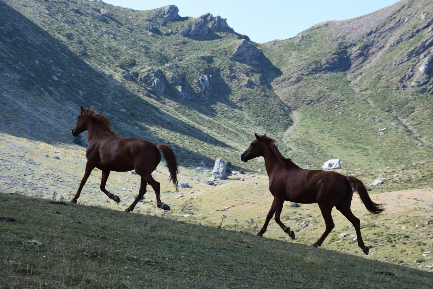 Ολοκλήρωση του ημερήσιου τμήματος του Pindus Trail: Αθανάσιος Διάκος - Καταφύγια Βαρδουσίων - Αρτοτίνα